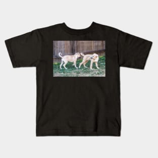 Anatolian Shepard Puppy Curtness Kids T-Shirt